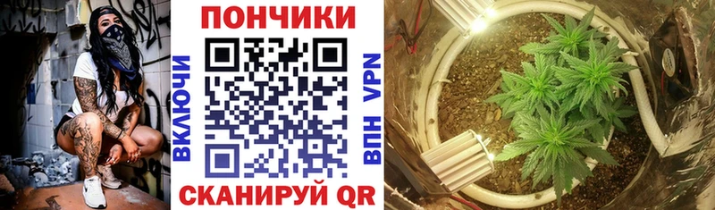 сколько стоит  Черноголовка  Марихуана тримм 